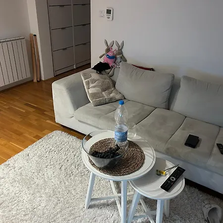 Apartman Basca Lux *